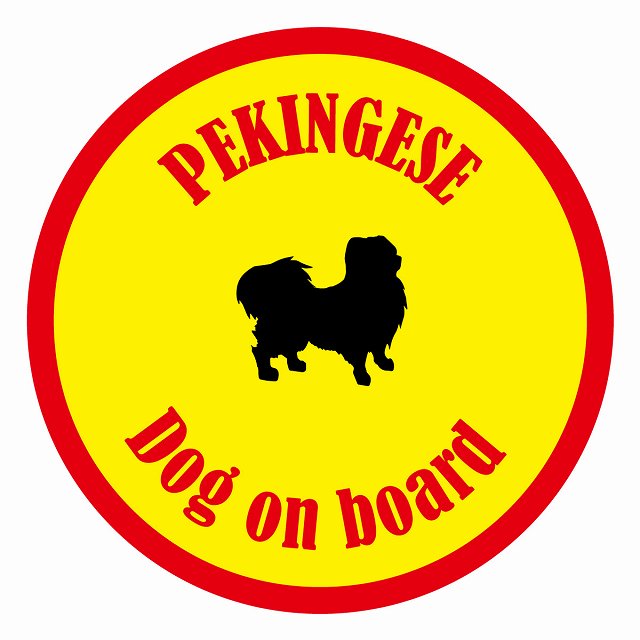 եƥ ƥå ե Dog on board ݷ ڥˡ  ľ13cm 걿ž к ƥå...