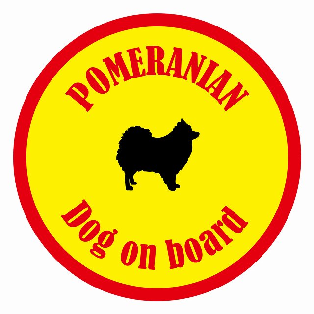 եƥ ƥå ե Dog on board ݷ ݥ˥  ľ13cm 걿ž к ƥå...