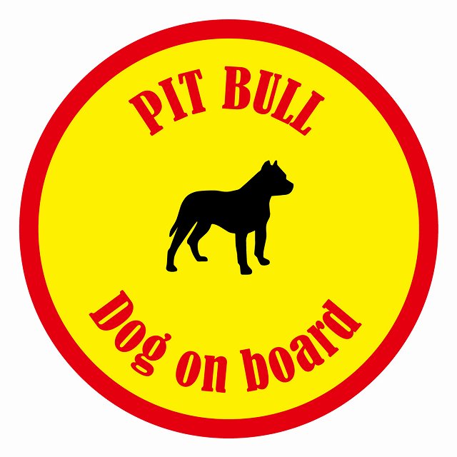եƥ ƥå ե Dog on board ݷ ԥåȥ֥  ľ13cm 걿ž к ƥå...