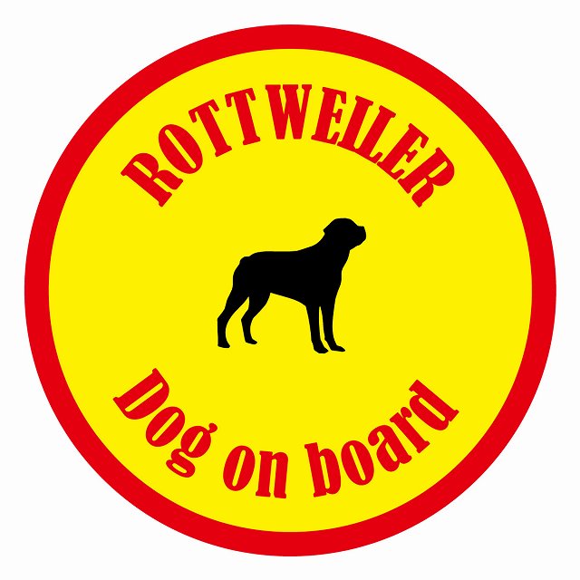 եƥ ƥå ե Dog on board ݷ åȥ磻顼  ľ13cm 걿ž к ƥ...