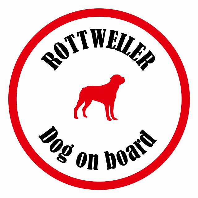 եƥ ƥå ե Dog on board ݷ åȥ磻顼 ۥ磻ȥå ľ13cm 걿ž к ...