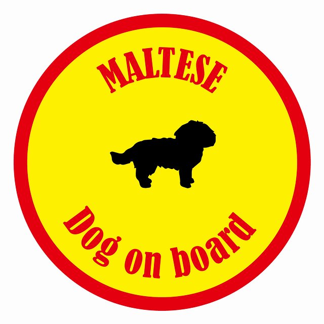 եƥ ƥå ե Dog on board ݷ ޥ  ľ13cm 걿ž к ƥå...