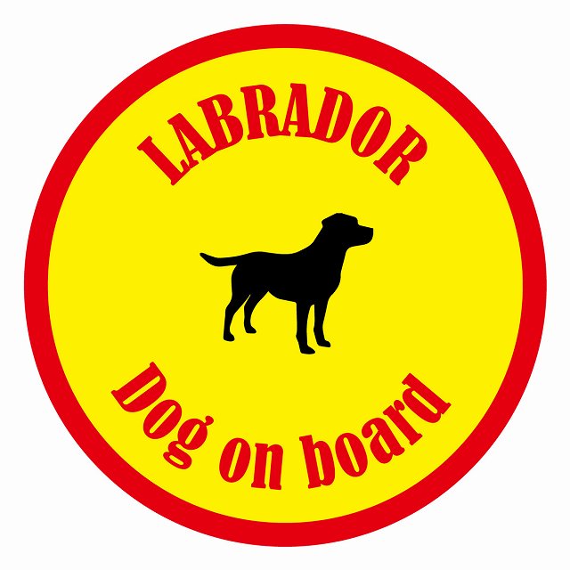 եƥ ƥå ե Dog on board ݷ ֥ɡ  ľ13cm 걿ž к ƥå...