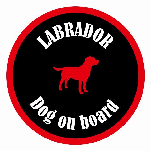 եƥ ƥå ե Dog on board ݷ ֥ɡ ֥åå ľ13cm 걿ž к ...