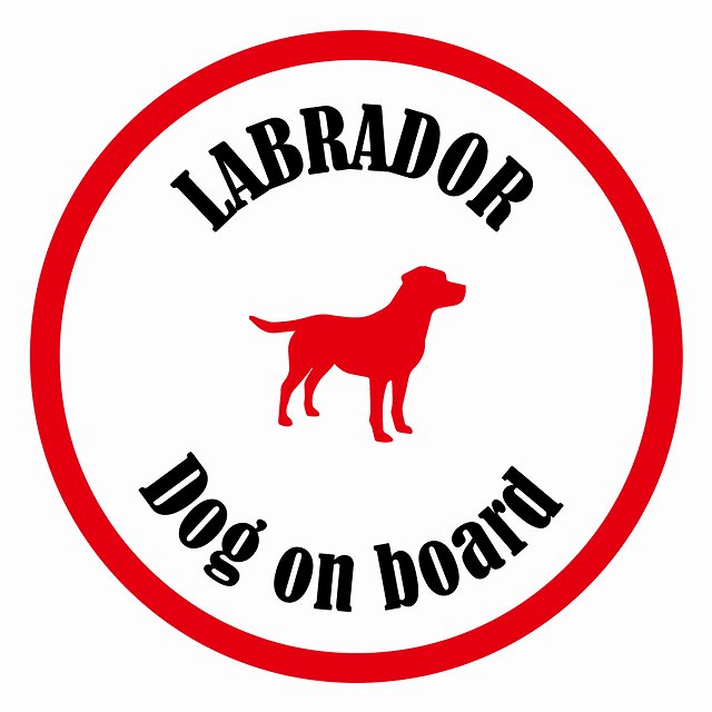 եƥ ƥå ե Dog on board ݷ ֥ɡ ۥ磻ȥå ľ13cm 걿ž к ...