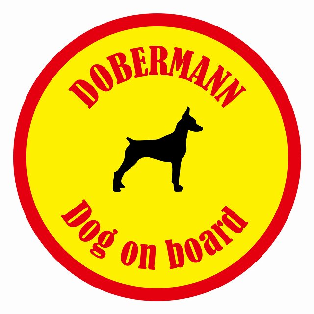 եƥ ƥå ե Dog on board ݷ ɡ٥ޥ  ľ13cm 걿ž к ƥå...