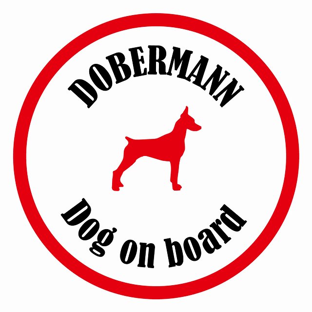 եƥ ƥå ե Dog on board ݷ ɡ٥ޥ ۥ磻ȥå ľ13cm 걿ž к ...
