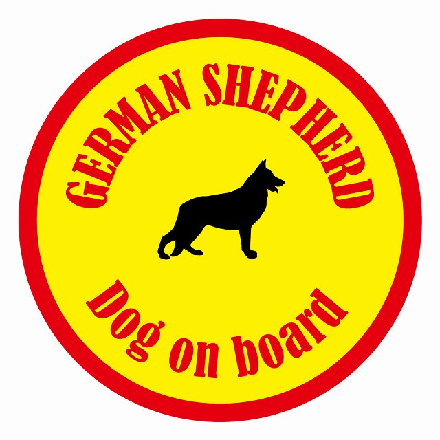 եƥ ƥå ե Dog on board ݷ ѡ  ľ13cm 걿ž к ƥå...