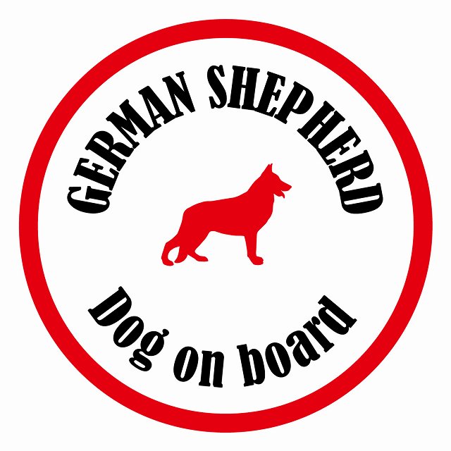 եƥ ƥå ե Dog on board ݷ ѡ ۥ磻ȥå ľ13cm 걿ž к ...