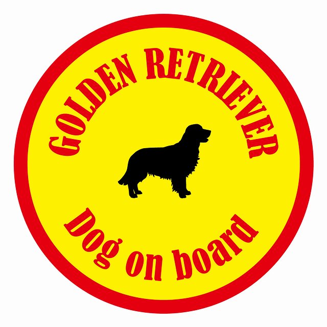 եƥ ƥå ե Dog on board ݷ ǥȥС  ľ13cm 걿ž к ...