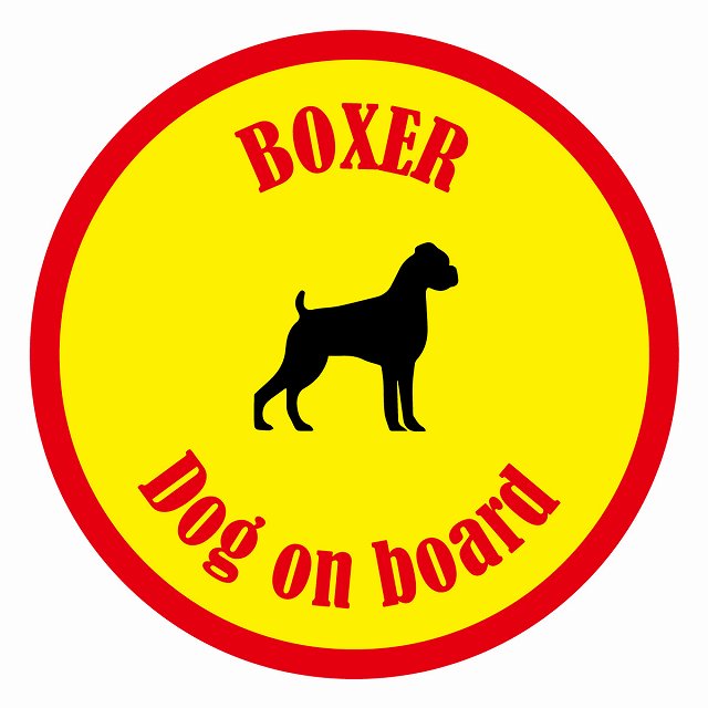եƥ ƥå ե Dog on board ݷ ܥ  ľ13cm 걿ž к ƥå ...