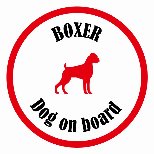 եƥ ƥå ե Dog on board ݷ ܥ ۥ磻ȥå ľ13cm 걿ž к ƥ...