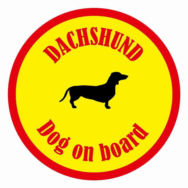 եƥ ƥå ե Dog on board ݷ åե  ľ13cm 걿ž к ƥ...