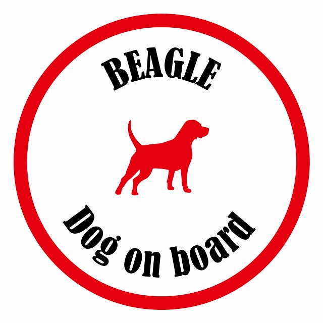 եƥ ƥå ե Dog on board ݷ ӡ ۥ磻ȥå ľ13cm 걿ž к ƥ...