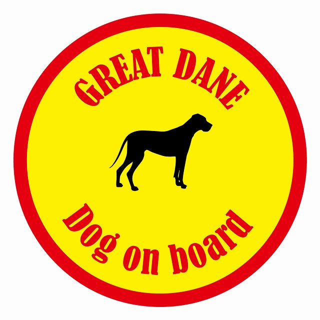 եƥ ƥå ե Dog on board ݷ 졼ȥǥ  ľ13cm 걿ž к ƥå...