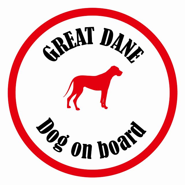 եƥ ƥå ե Dog on board ݷ 졼ȥǥ ۥ磻ȥå ľ13cm 걿ž к ...