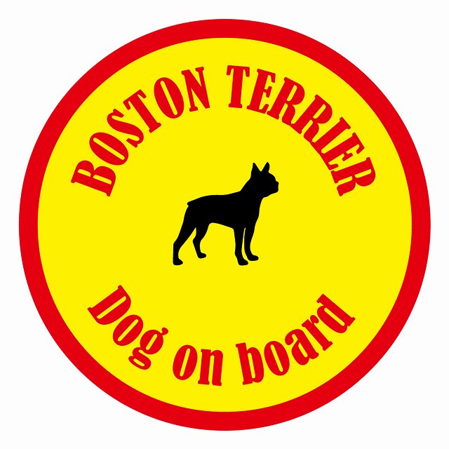 եƥ ƥå ե Dog on board ݷ ܥȥƥꥢ  ľ13cm 걿ž к ƥ...