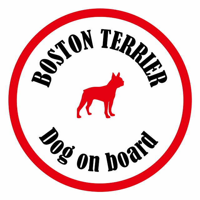 եƥ ƥå ե Dog on board ݷ ܥȥƥꥢ ۥ磻ȥå ľ13cm 걿ž к ...