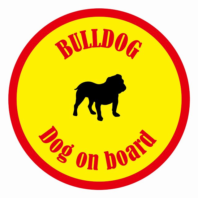 եƥ ƥå ե Dog on board ݷ ֥ɥå  ľ13cm 걿ž к ƥå...