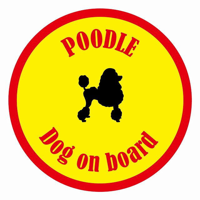եƥ ƥå ե Dog on board ݷ סɥ  ľ13cm 걿ž к ƥå ...