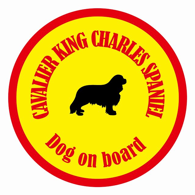 եƥ ƥå ե Dog on board ݷ Хꥢ󥰥㡼륺ѥ˥  ľ13cm ...