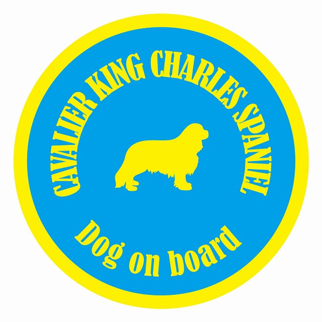 եƥ ƥå ե Dog on board ݷ Хꥢ󥰥㡼륺ѥ˥ 饤ȥ֥롼 ľ13...