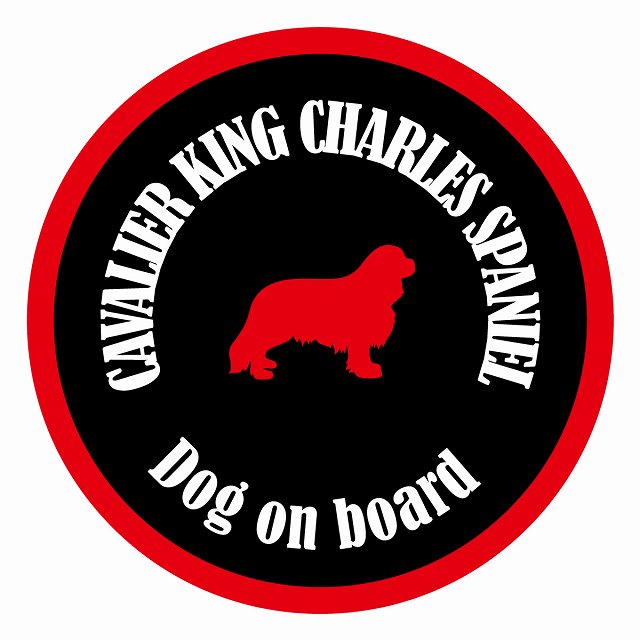 եƥ ƥå ե Dog on board ݷ Хꥢ󥰥㡼륺ѥ˥ ֥åå ľ13cm ...