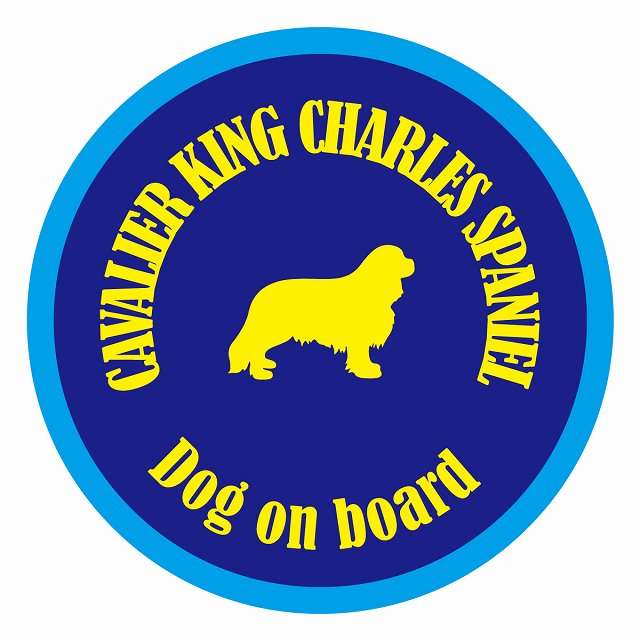 եƥ ƥå ե Dog on board ݷ Хꥢ󥰥㡼륺ѥ˥ ֥롼 ľ13cm ...