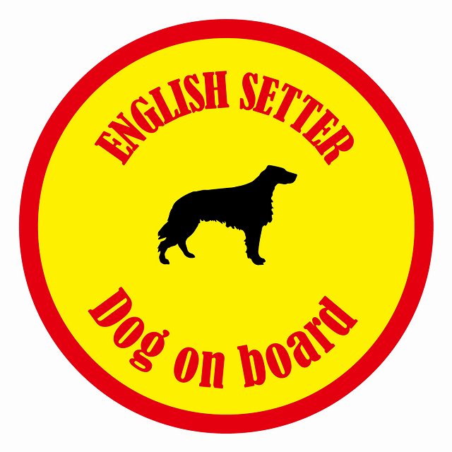 եƥ ƥå ե Dog on board ݷ 󥰥å奻  ľ13cm 걿ž к ...