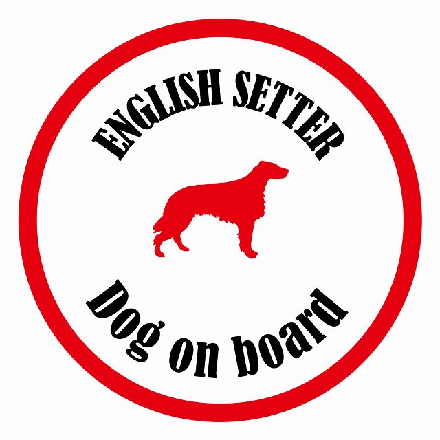 եƥ ƥå ե Dog on board ݷ 󥰥å奻 ۥ磻ȥå ľ13cm 걿ž к...