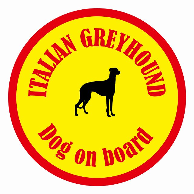 եƥ ƥå ե Dog on board ݷ ꥢ󥰥졼ϥ  ľ13cm 걿ž к ...