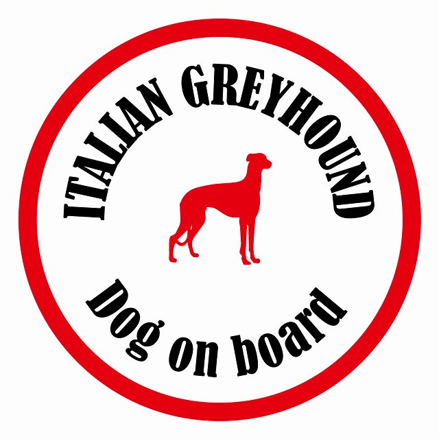 եƥ ƥå ե Dog on board ݷ ꥢ󥰥졼ϥ ۥ磻ȥå ľ13cm 걿ž ...