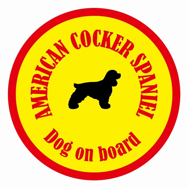 եƥ ƥå ե Dog on board ݷ ꥫ󥳥åѥ˥  ľ13cm 걿ž ...