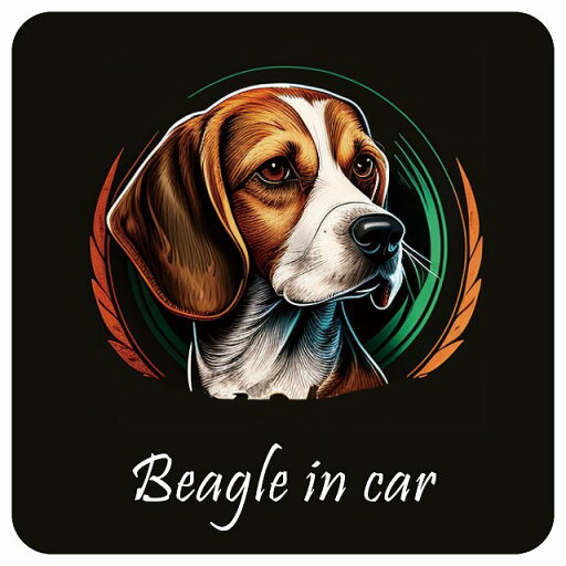 Dog in Car ビーグル B タイプ 正方形 13x13cm シール Dog in Car ビーグル B タイプ 正方形 13x13cm シール