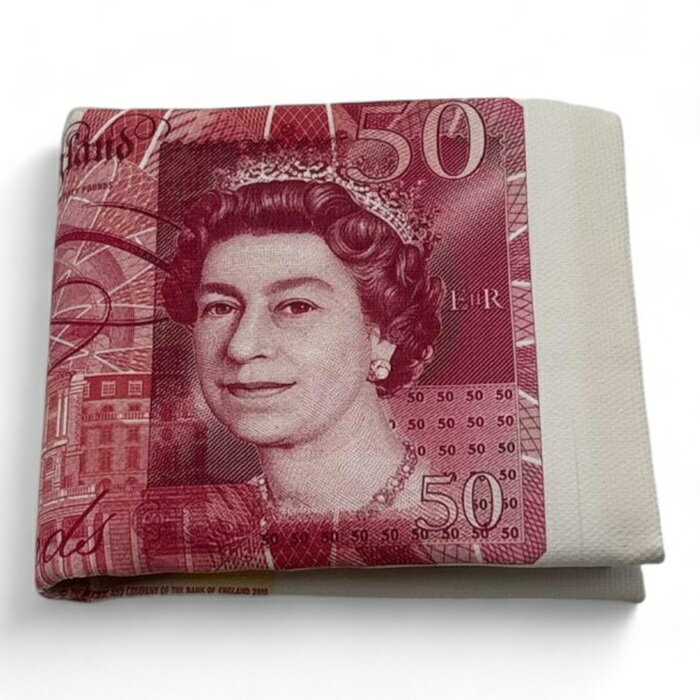 マネー財布 メンズ レディース 財布 お札柄 マネープリント 二つ折り おもしろ雑貨 アメリカン雑貨 紙幣 ウォレット