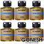 GONESH ガーネッシュ オーシャン 6個セット リキッド 瓶 エアフレッシュナー 芳香剤 車 アクアマリン Ocean 送料無料 【ガネッシュ GONESH】