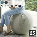 バランスボール vivora バランスボール シーティングボール ルーノ シェニール sitting ball chairs LUNO Chenille 65cm カバー付き 二重構造 アンチバースト 破裂防止 ポンプ付 ヨガ 筋トレ 体幹 トレーニング 室内 ヤマジツ 山崎実業