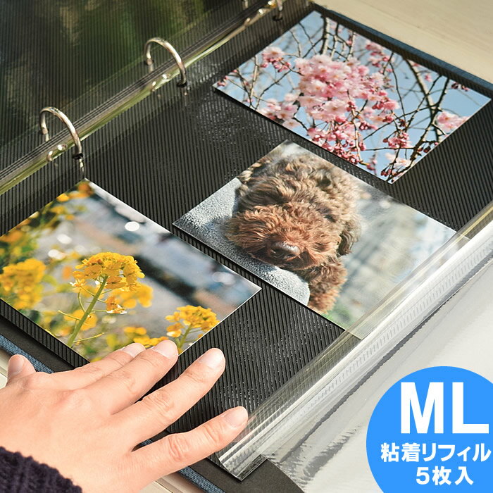 PDフォトアルバム 【ML(A4)サイズ用 粘着リフィル5枚入り】 リング式フォトアルバム 粘着台紙 リフィル 手作り アル…