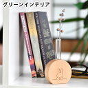 フラワーベース ニチガン ミッフィー グリーンインテリア ラウンド 花瓶 一輪挿し 木製 小さい グッズ プレゼント ナチュラル 北欧 天然木 かわいい 雑貨 ...