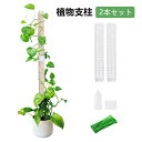 植物支柱 モスポール 支柱 2本セット 連結可能 ポトスタワー 積み重ね可能 花支え 観葉植物 つる植物 着生植物 園芸支柱 水苔棒 ガーデニング支柱 水分維持...