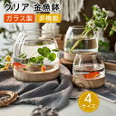 金魚鉢 クリア ガラス 丸型 金魚水槽 小さい水槽 飼育水槽 観葉植物 インテリア 水培 透明水槽 クリアガラス ガラス花器 多機能水槽 水鉢 花瓶 小型水槽 ...
