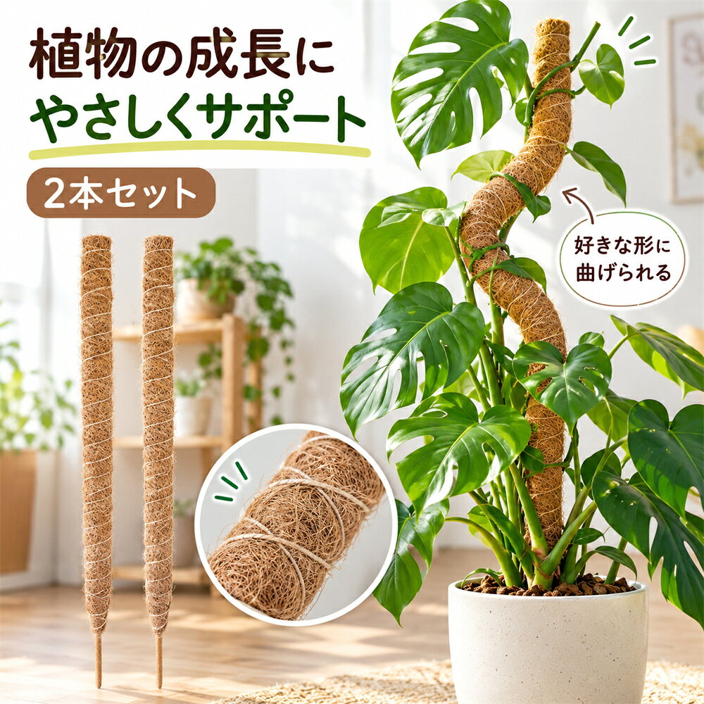 楽天市場】観葉植物 支柱 ヘゴの通販
