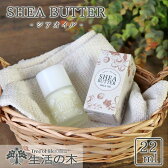 シアオイル22ml生活の木シアオイル液状シアバター全身用ボディ顔髪ダメージケア保湿うるおいリノール酸マッサージ日本製おすすめ無香料
