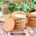 テラコッタ 塩ポット 日本製 食器 卓上 可愛い かわいい 人気 テーブルウェア 雑貨 保存 保存容器 素焼き 塩 ソルト 調味料 ポット お洒落 カフェ風 塩...