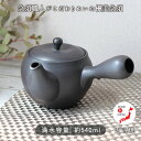 優美 急須 2.5号 漆黒 | 万古焼 日本製 急須 陶器 300ml 茶こし一体型 お茶 緑茶 優美 おすすめ 人気 ギフト 贈り物 網 持ち手 二人用 一人...