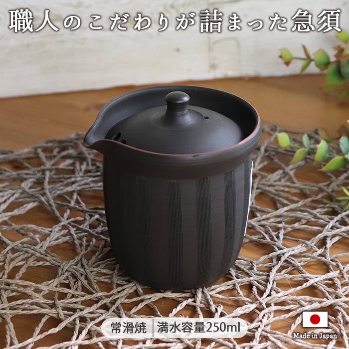 常滑焼石龍作茶逢急須 急須 常滑焼 新茶 お茶 ティー 緑茶