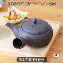 常滑焼 平丸 線段 セラメッシュ 急須 黒 | ティーポット ポット 茶こし一体型 茶こし付 洗いやすい 持ちやすい 使いやすい 380ml 日本製 陶製 陶器 陶製茶こし 茶こし 茶漉し 電子レンジ対応 モダン シンプル おしゃれ