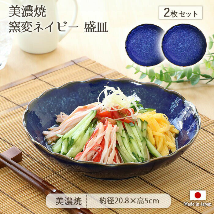 乐天商城 - 【全品対象最大10％OFFクーポン配布 4/27まで】美濃焼 窯変ネイビー 盛皿 2枚セット | 皿 お皿 中皿 深皿 取り皿 主菜皿 鉢 中鉢 浅鉢 取り鉢 副菜鉢 プレート ボウル 径20.8cm 日本製 磁器 食器 和食器 洋食器 電子レンジ対応 食洗機対応 おしゃれ シンプル 和モダン