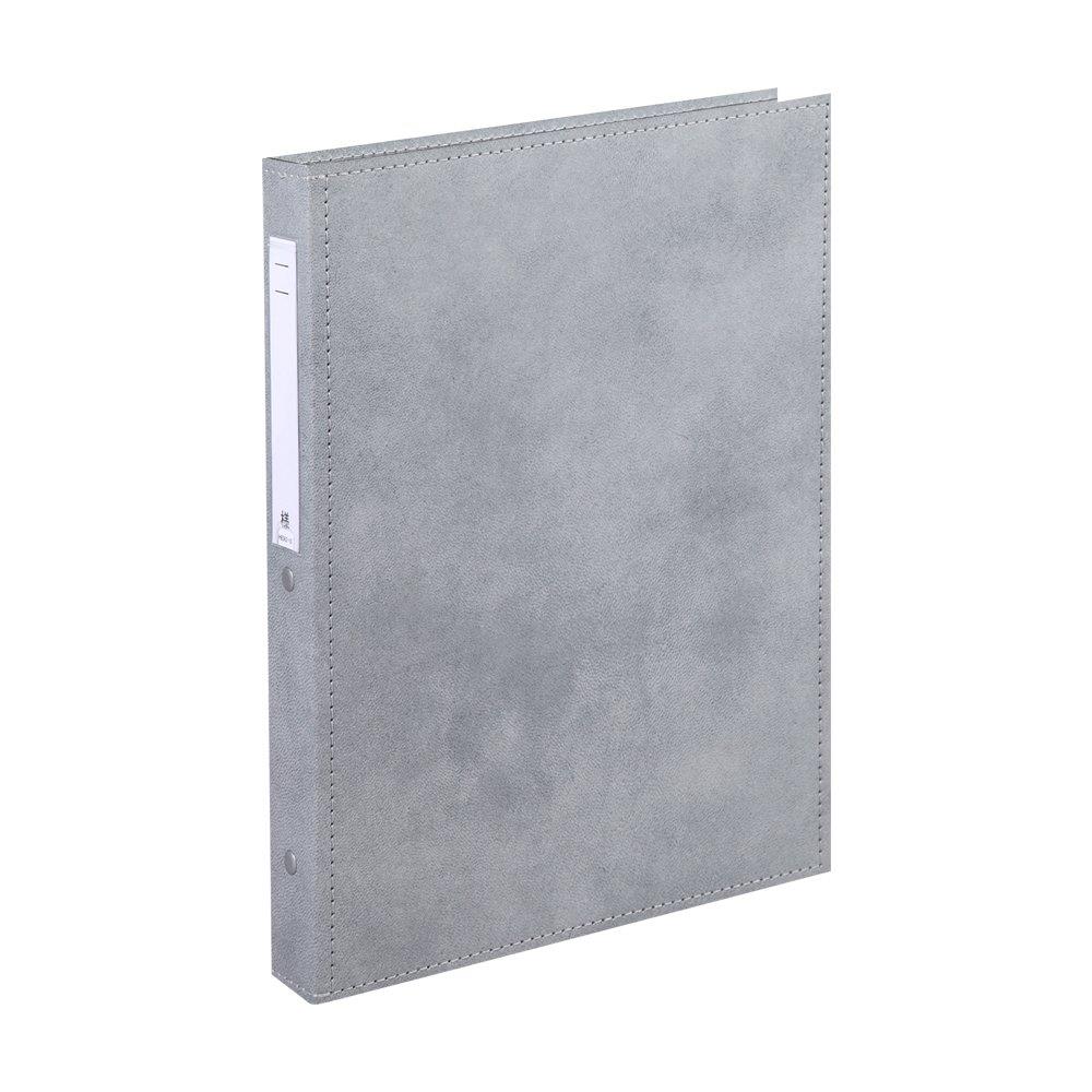 リヒトラブ カルテブック 厚型タイプ A4 30穴 シルバー HB438-6