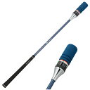 ダイヤゴルフ(DAIYA GOLF) スイング練習機 ゴルフ練習器 ユニフレックス ダイヤスイング527 TR-527 両手 ブルー(4)